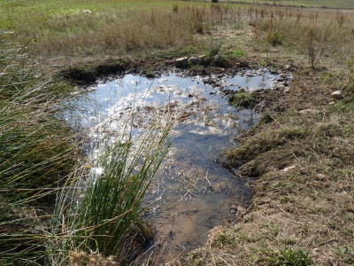 Fuente del Cubillo - imagen 3