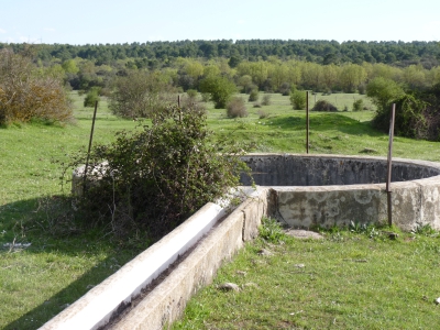 Fuente de la Dehesa - imagen 3