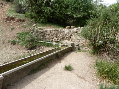 Fuente del Espino - imagen 2