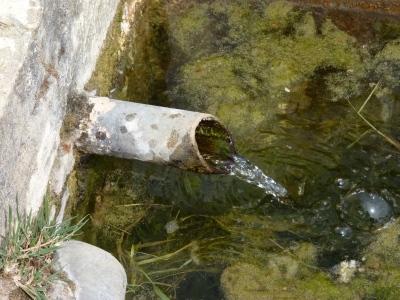 Fuente del Espino - imagen 4
