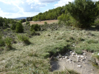 El Hontarrón - imagen 2