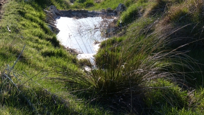 Fuente de la Hontezuela - imagen 5