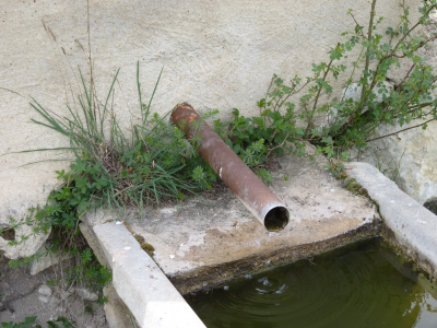 Fuente del Lobo - imagen 3