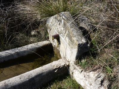 Fuente Megina - imagen 3