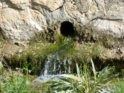 Nacimiento del Moscas - imagen 5