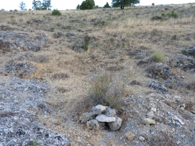 Fuente del Pájaro - imagen 2