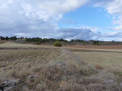 Pozo de los Abarcones - imagen 1