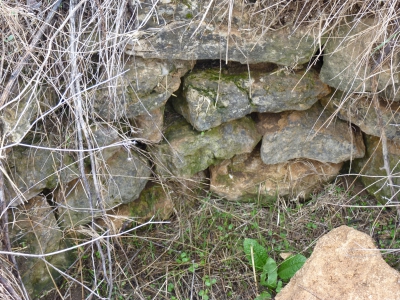 Pozo de los Abarcones - imagen 3