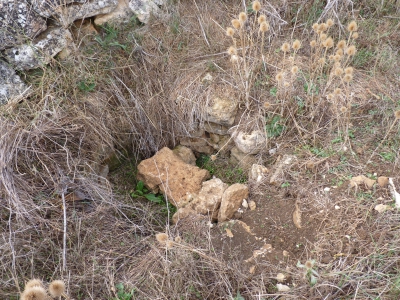 Pozo de los Abarcones - imagen 4