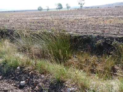 Pozo de los Navazos - imagen 3
