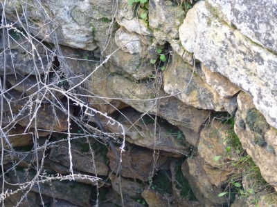 Pozo del Parador de la Nava - imagen 4
