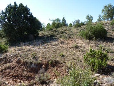 Pozo del Rento del Tío Page - imagen 3