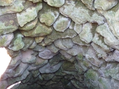 Pozo del Vallejo Cano - imagen 3