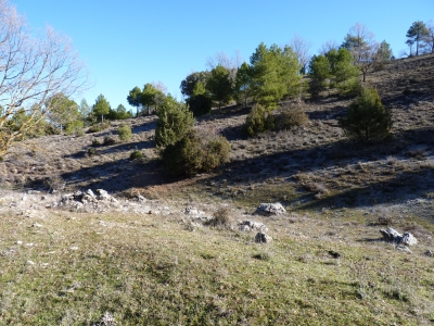 Pozo del Vallejo Cano - imagen 5