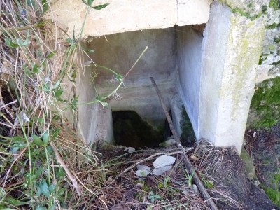 Fuente del colmenar - imagen 2