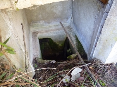 Fuente del colmenar - imagen 3