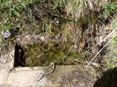 Fuente del colmenar - imagen 5