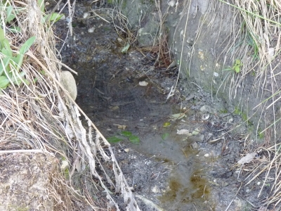 Fuente del colmenar - imagen 6