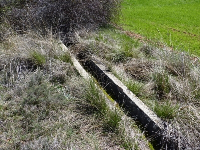 Abrevadero de la fuente del Colmenar - imagen 1