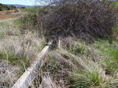 Abrevadero de la fuente del Colmenar - imagen 2