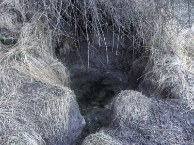 Fuente del Llano de las Raicillas - imagen 1