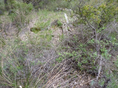 Manantial de la Umbría de Peñas Altas - imagen 3