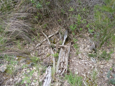 Manantial de la Umbría de Peñas Altas - imagen 4