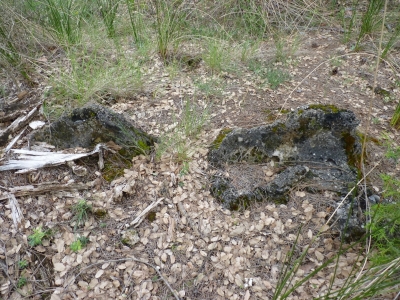 Manantial de la Umbría de Peñas Altas - imagen 5