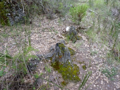 Manantial de la Umbría de Peñas Altas - imagen 6