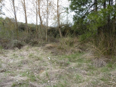 Manantial de las Navas - imagen 1