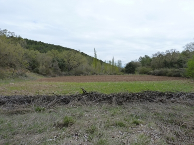 Manantial de las Navas - imagen 6