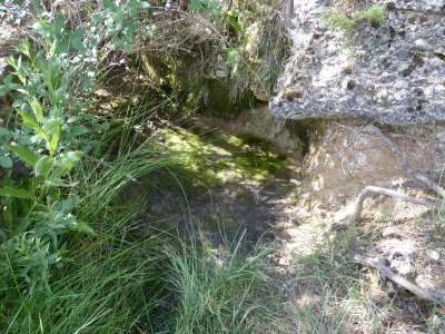 Manantial de los Tornajos de Prado Marica I - imagen 3