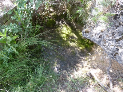 Manantial de los Tornajos de Prado Marica I - imagen 4