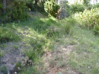 Manantial de los Tornajos de Prado Marica II - imagen 2