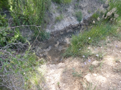 Manantial de los Tornajos de Prado Marica II - imagen 3