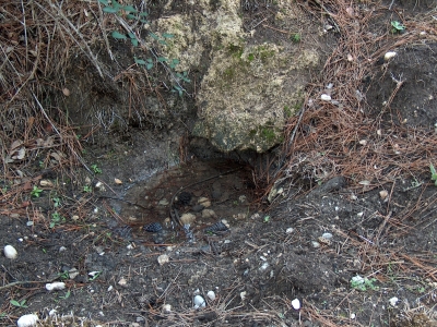 Fuente Pinilla - imagen 1