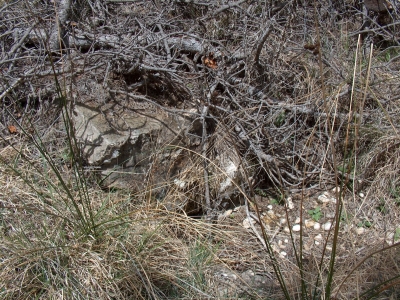 Fuente Pinilla - imagen 4