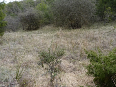 Fuente Urgunero - imagen 5