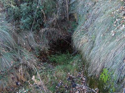 Fuente Mampirle II - imagen 2