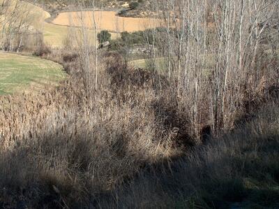 Fuente de la Peña del Molinillo - imagen 1