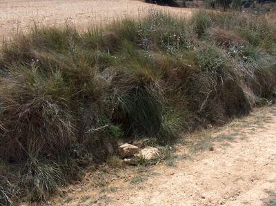 Fuente de Valserrano - imagen 1