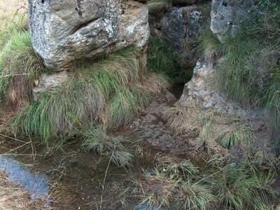 Fuente de la Zarza - imagen 2