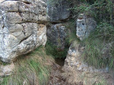 Fuente de la Zarza - imagen 3