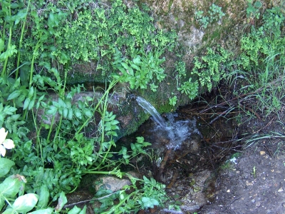 Fuente de la Abengózar - imagen 1