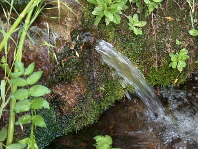 Fuente de la Abengózar - imagen 2