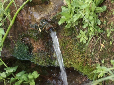 Fuente de la Abengózar - imagen 3