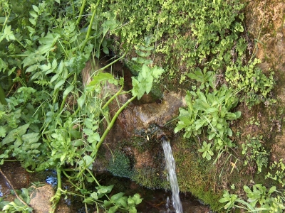 Fuente de la Abengózar - imagen 4