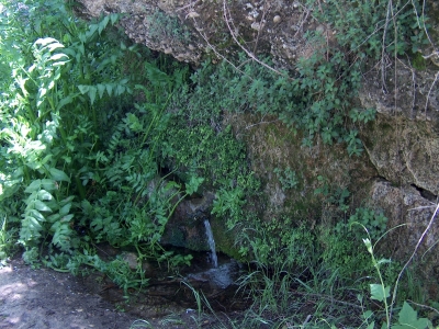 Fuente de la Abengózar - imagen 5