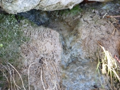 Fuente del Ardal I - imagen 3