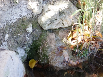 Fuente del Ardal I - imagen 4